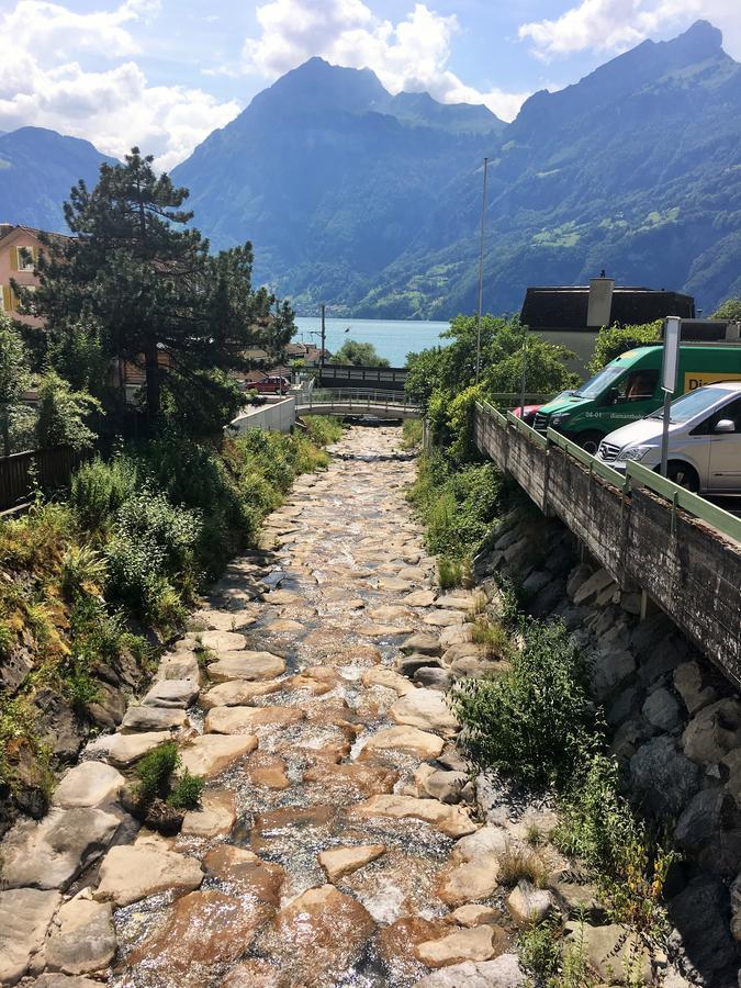 Hotel Sternen Sisikon ภายนอก รูปภาพ